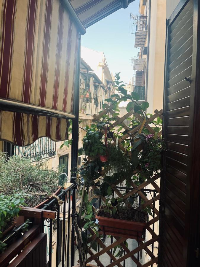 Casa Clo Alla Cattedrale 巴勒莫 外观 照片