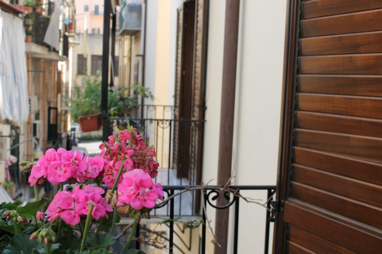 Casa Clo Alla Cattedrale 巴勒莫 外观 照片